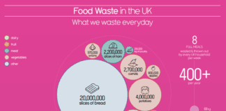 A nation of visual learners: Tackling food waste with renowned data artist, author and TEDx speaker and Experian eeabf40bd49681b0d871cd96f5fae626854da39f