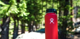 WORK PERKS: NEW STUDY REVEALS THAT BRITISH EMPLOYEES ARE ‘MERCH-FANS’ evan wise toRgWaZMqUQ unsplash