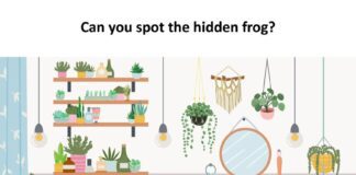 One in 5 Brits can’t solve these tricky bathroom brainteasers – can you? find the frog