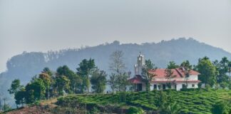 What to do during the visit to the beautiful town of Wayanad, Kerala? himanshu choudhary UsAb4p2P8vA unsplash