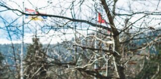 A nation of do-gooders: 9 out of 10 Brits have performed an unexpected ‘good deed’ for someone in the past year jasper garratt VX1KzyGSIRw unsplash