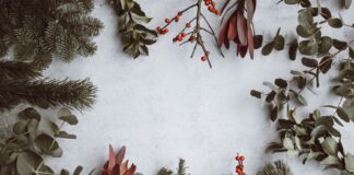 10 ways for an eco-friendly Christmas photo 1512389142860 9c449e58a543