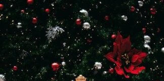£200 plus SO MUCH MORE for watching the UK’s top Christmas films! photo 1574547070583 95558a5b774f 1 51