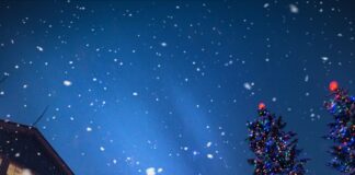 William Hill’s White Christmas odds at their lowest level since 2017, with UK braced for heavy snow roberto nickson 5PQn41LFsQk unsplash scaled