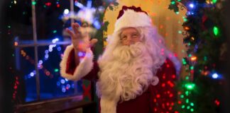 Letter to the Editor, sent on behalf of RNIB Cymru’s Director Ansley Workman: tim mossholder egV4ig2ZhpA unsplash