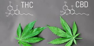 5 Parameters That Differs CBD From THC unnamed 97