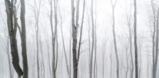 Arctic blast forces William Hill to take evasive action with White Christmas odds market valentin salja AqcD0Q1JLpE unsplash