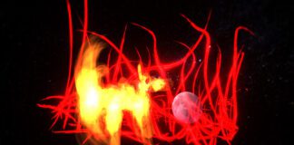 City exhibition showcases how youngsters want to Be Seen vr1 scaled