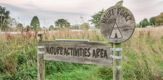 Haven’s 2022 Holiday Deals 27yw2fpYz0w6C5Qz7PE5Zj