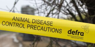 Welsh Government News: Written Statement: Wales Avian Influenza Outbreak: Situation Report AIbanner 1024x536 1