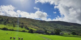 A North Wales Family Has Outlined The Challenges Of Running A Welsh Hill Farm Cwm Penmachno