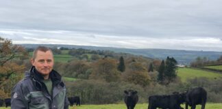 National Botanic Garden Of Wales Farm Leads The Way In Conservation And Food Production FUW Huw Jones 1 scaled