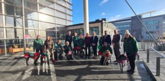 Senedd Hosts Greyhound Rescue Wales Grayhounds Senedd Steps