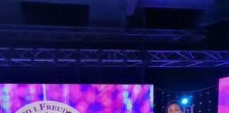 Successful Accessible Festival Lleswyl scaled