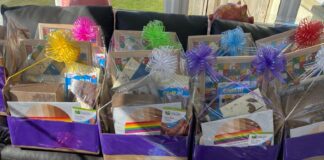 Hywel Dda Health Charities on Cwtch boxes bought for paediatric palliative care patients Paediatric palliative cwtch boxes picture