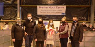 SUCCESS FOR CEREDIGION YOUNG FARMER IN PIG FINISHING INITIATIVE 2021 Pic of YFC winner Eiry Williams