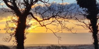 FUW Group Set To Help Team Wales Win The #Run1000 Challenge In 2022 Rebecca Pembs frosty sunrise Run 1000 2021.jpg