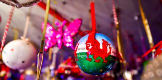 Festive Fans break two Guinness World Records titles Sylvia Pope Largest collection of Christmas bauble ornaments 31 scaled