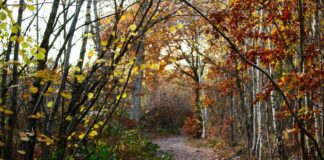 Picturesque Kent named one of the world’s best travel destinations for 2022 lfPI6NRq