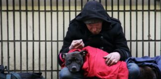 LGA responds to Shelter research showing 274,000 now homeless nick fewings 4OFU9yxUvLc unsplash