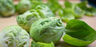 Spread the festive cheer this year with a pigs in blankets or brussels sprout car freshener pexels damir mijailovic 5612342