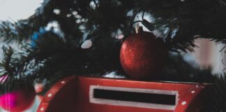 LETTER TO EDITOR – BE A SECRET SANTA FOR A VULNERABLE CHILD IN WALES THIS CHRISTMAS pexels e m 6075805