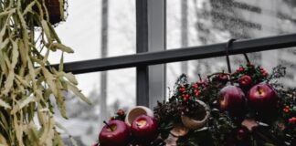 UK’s Most Googled Christmas ‘How To’ Questions pexels eva elijas 5947740