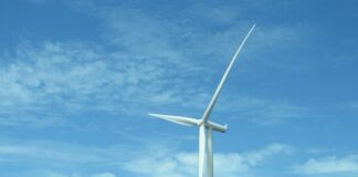 Why is UK government investing in renewable energy? pexels magda ehlers 770562