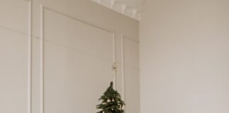 New data *sadly* reveals that the magic of Christmas fades with age! pexels vlada karpovich 6119581