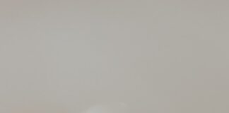 School Nativity Play – Is There Danger Lurking in the Manger? priscilla du preez TjMjyo8 spg unsplash