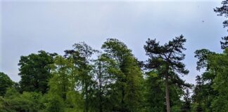 Fishpond Power – Margam Country Park Turbine Restoration Creates Renewable Energy Source turbinefish pondimageRESized