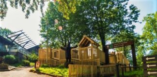 Tourism business opportunity at the heart of Port Talbot’s Afan Forest Park Afan Adventure Playground1RES