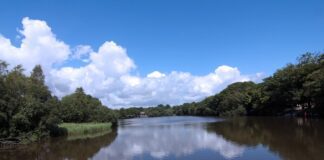 COUNCIL SEEKS HELP FROM PUBLIC IN STOPPING PERSISTENT VANDALISM TO POPULAR GNOLL ESTATE COUNTRY PARK GnolPICTURE