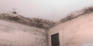 Sell your home as easy as possible in 2022 by clearing your house of these easy to fix faults Screenshot 2022 01 13 14.51.25