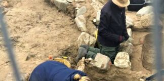 Dig History? Then sign up for the new NPT Archaeologists’ Club! archpicRES