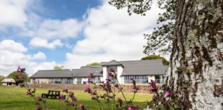 Heart-warming story of a badger rescue at Llys Y Frân edda5287e3c8434582e3eabba52b2122