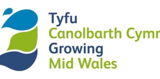 Seeking advisors from Ceredigion Businesses – Your chance to get involved with the Mid Wales Growth Deal gmw logo rgb 2018