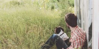 Pilot Project success in supporting mental health in Ceredigion here for you yma i chi