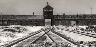 Yad Vashem Welcomes the Unanimous Decision of the UN General Assembly to Adopt the Resolution on Holocaust Denial and Distortion a Week before International Holocaust Remembrance Day slideshow5