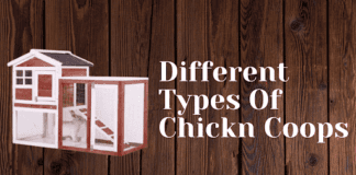 Different Types Of Chicken Coops You Can Buy From Lumbuy unnamed
