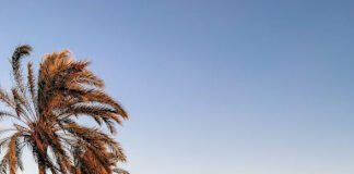 Many Britons are moving to Spain because of Brexit. unnamed 4