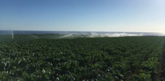 Water as a precious commodity: competition for natural resources prevents sustainable development and excludes entire communities from water resources wcwf0nz4wtprzp4e48bl