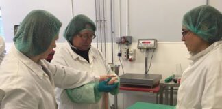 Mae Menter Moch Cymru yn helpu mentrau moch i ffynnu gyda chyrsiau cigyddiaeth a phrosesu ymarferol Butchery pic 2