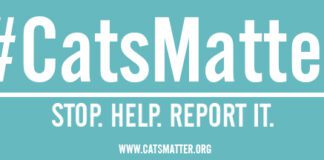 Letter to the Editor CATS MATTER