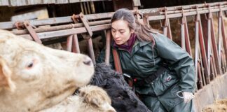 Lack Of Bovine TB Impact Assessment Is A Disservice Says FUW FUW TB testing