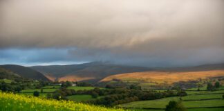 Welsh Government News: Increase in Glastir payments made in January Land image scaled