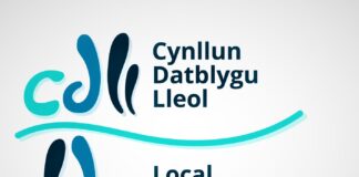 Delivery Agreement for Council’s Replacement Local Development Plan approved by Welsh Government RLPD Bilingual Logo portrait@4x 100