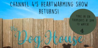 New Enquiry: Channel 4 – The Dog House TDH Flyer 17