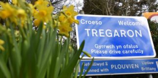 Cyffro’r Eisteddfod yng Ngheredigion Tregaron