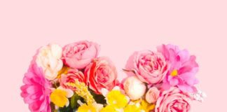 Release: Most romantic last-minute valentines’ getaways amy shamblen qdPnQuGeuwU unsplash